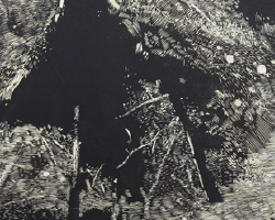 ZHANG Guanghui, 10e triennale 2017