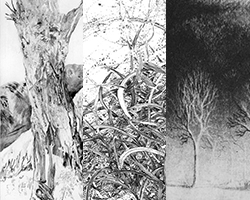 Anne Helsy / Véronique Sustrac / Sophoie Drouot - 12e Triennale