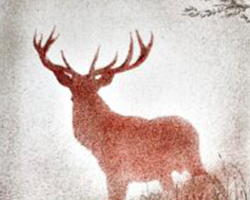 Association de l’Imprimerie du Musée d’Ussel (AIMU) - 12e Triennale