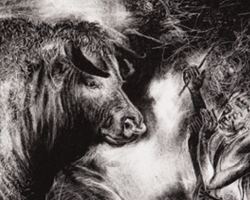 Collections : Le monde animal - 12e Triennale