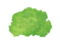 Le Chant de l'encre - 12e Triennale